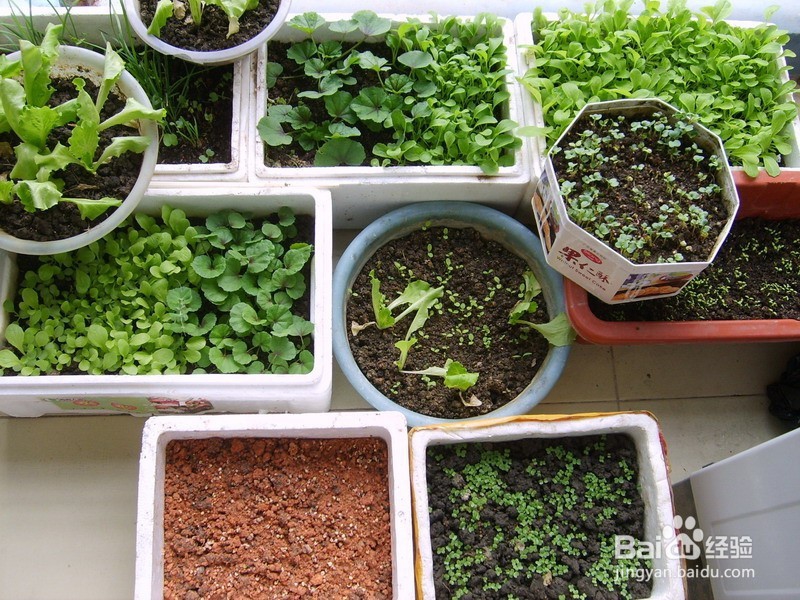 怎么改造阳台更别致?