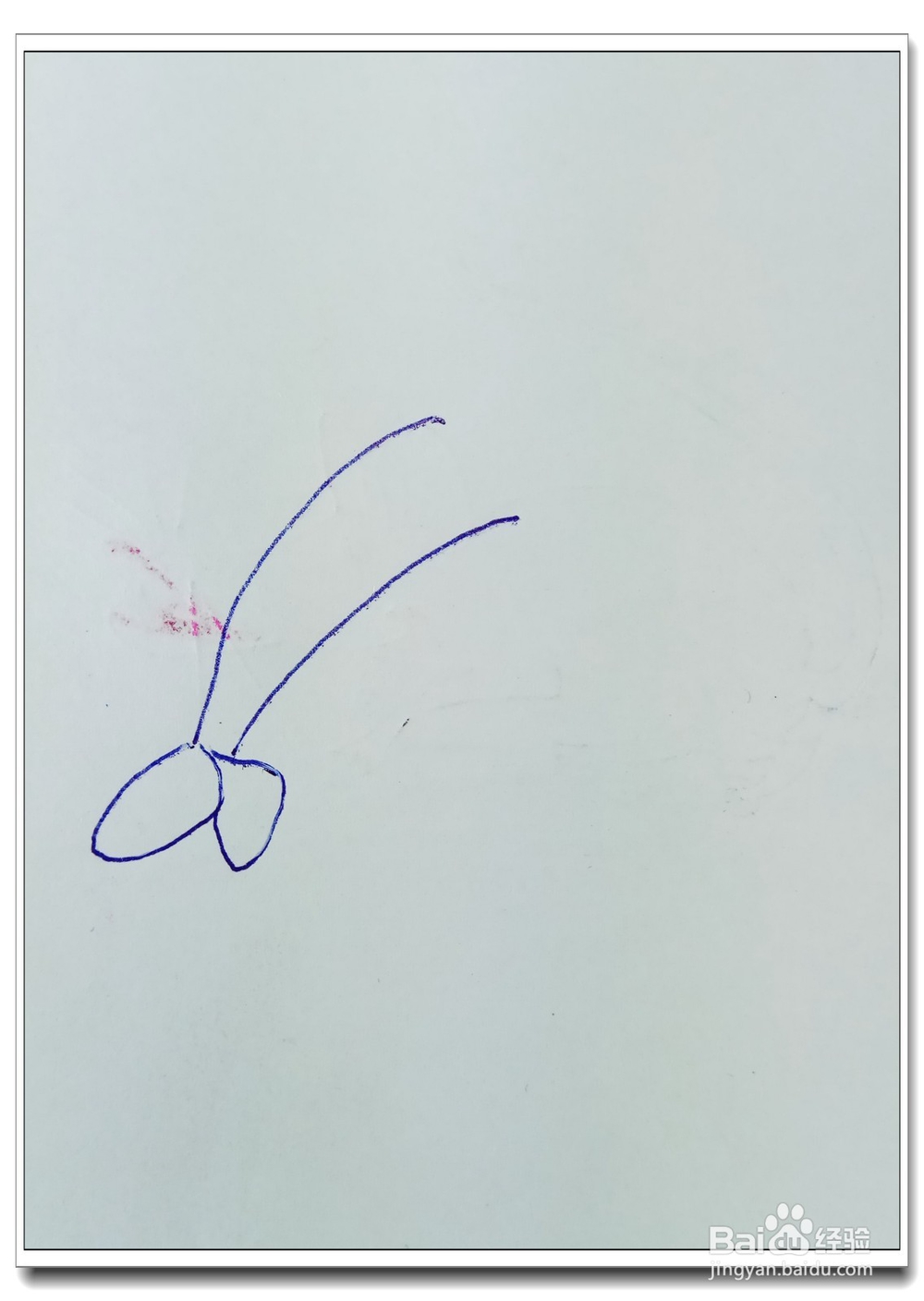 怎样画简笔画“漂亮的大虾”？