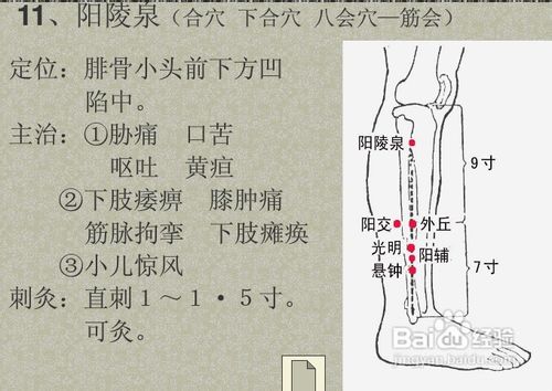中医经络知识之足少阳胆经图解