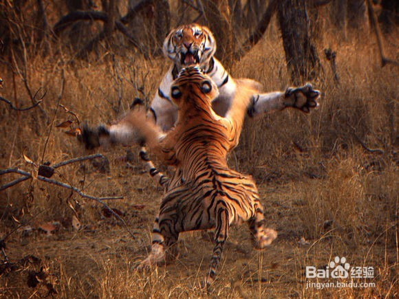 ps入门教程选择技巧