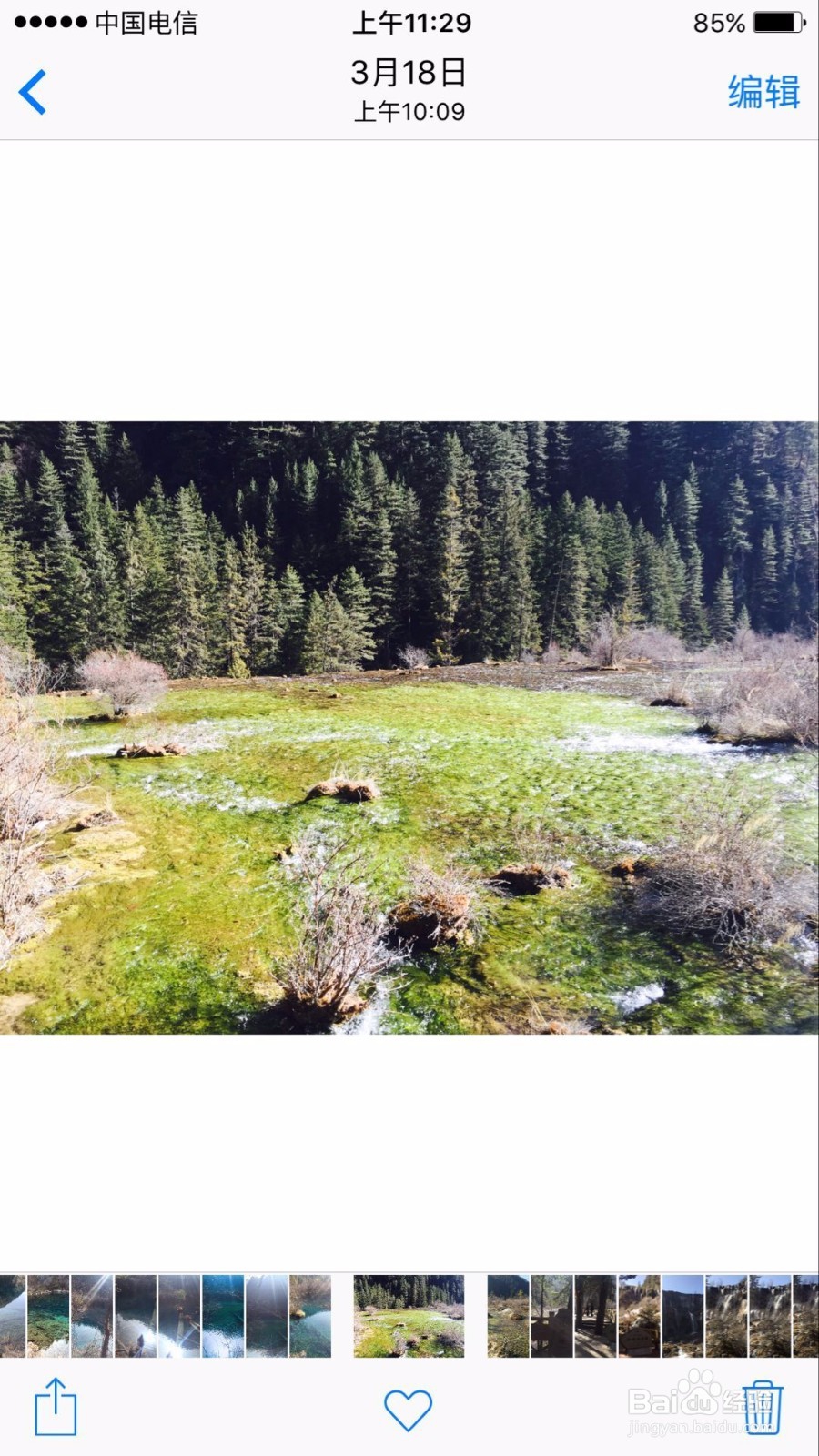 苹果手机使用技巧之用滤镜快速美化照片