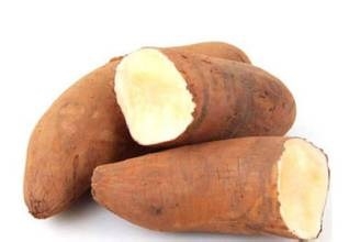 天山雪莲果的功效与作用