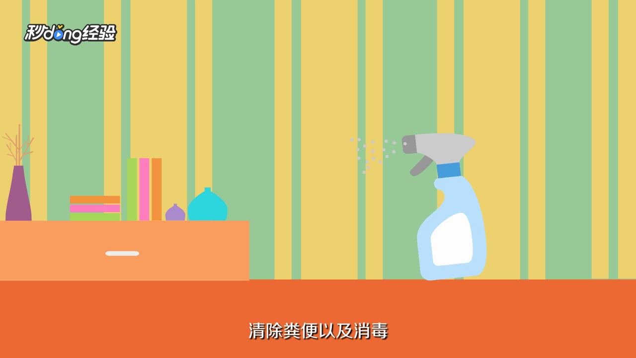 普通小鹦鹉怎么养