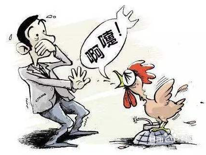 怎样有效预防禽流感？