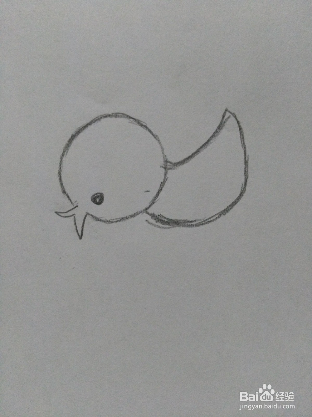 简笔画---小鸡和小鸭的画法