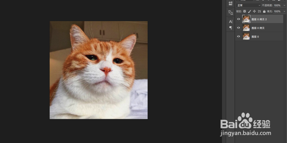 怎么用PS做动态表情