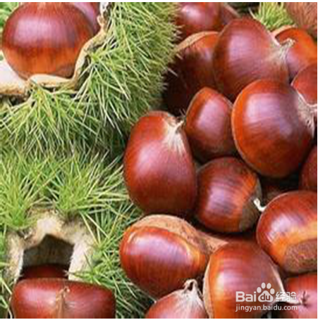 分享9种抵御胃寒的食物