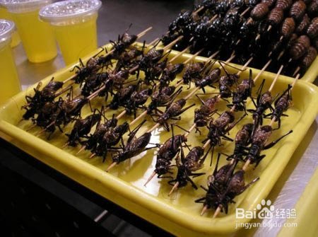 盘点世界十大最奇特的小吃