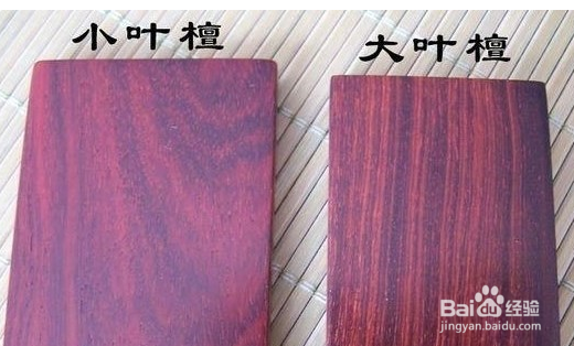 大叶紫檀和小叶紫檀有什么区别