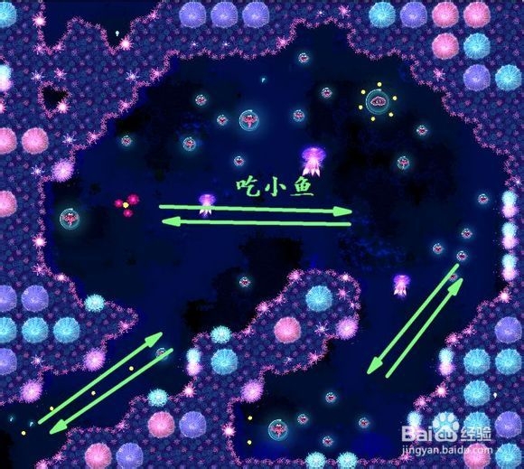 华丽荧光鱼攻略