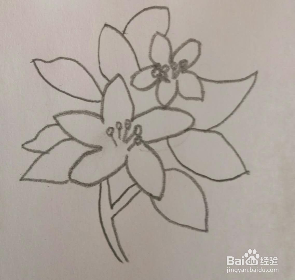 儿童简笔画花画法3