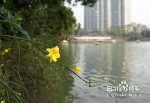 一九二九怎么算的