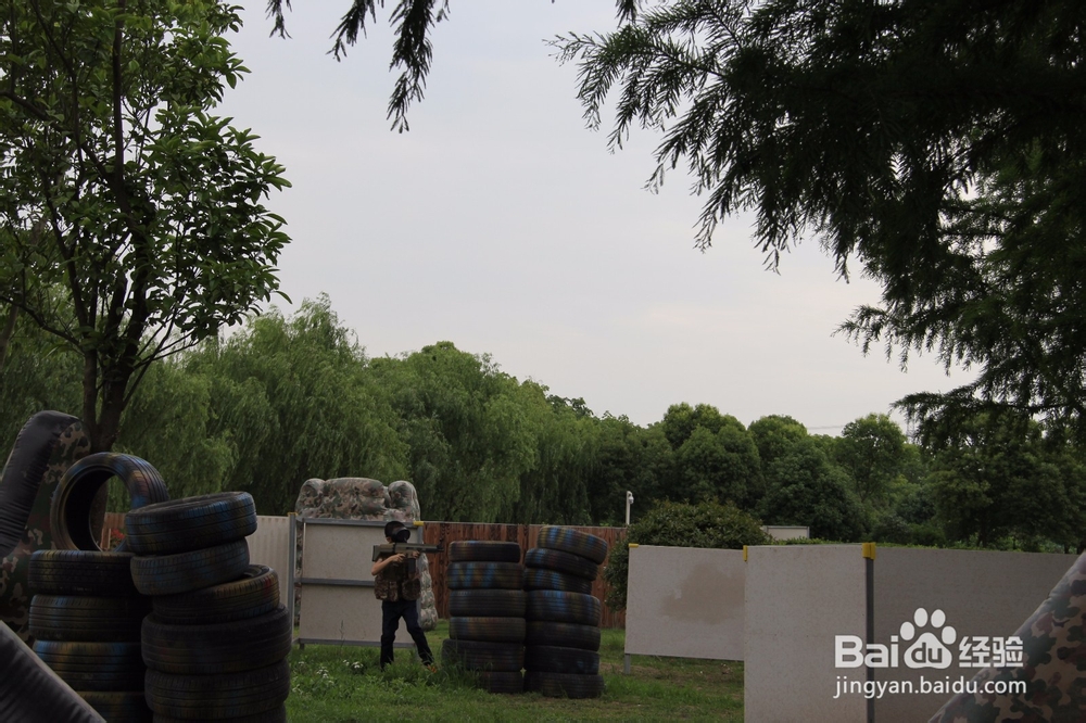 上海旅游攻略之周浦花海