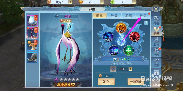 那一剑江湖如何给神兽提升等级