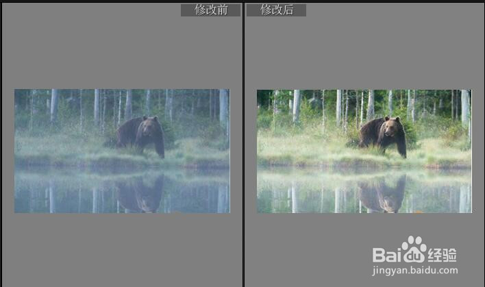 在Lightroom中去除照片中的薄雾教程