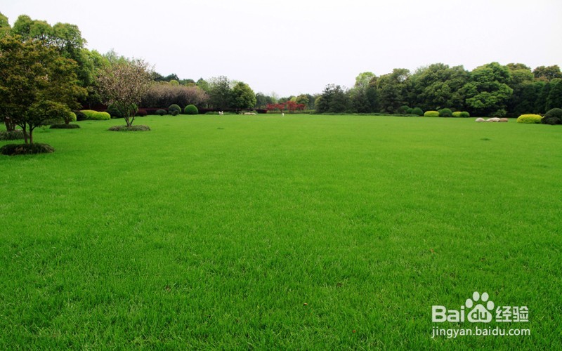 各种不同的去水印的方法