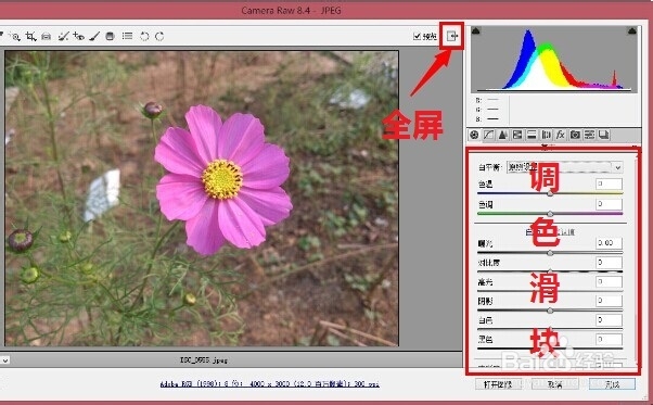 使用 Camera Raw 提高照片质量