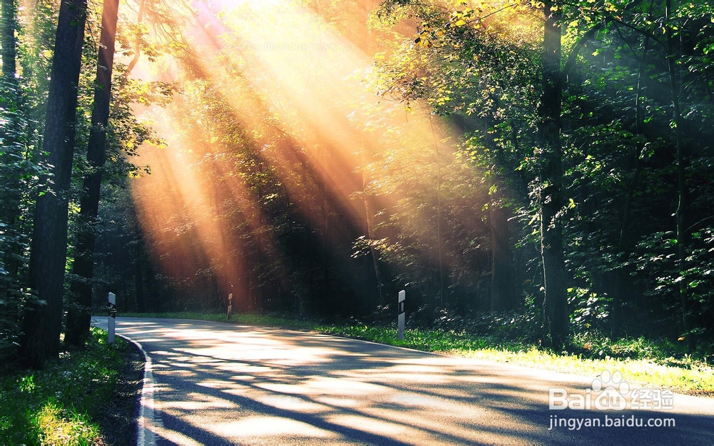 重症肌无力详解：[1]症状