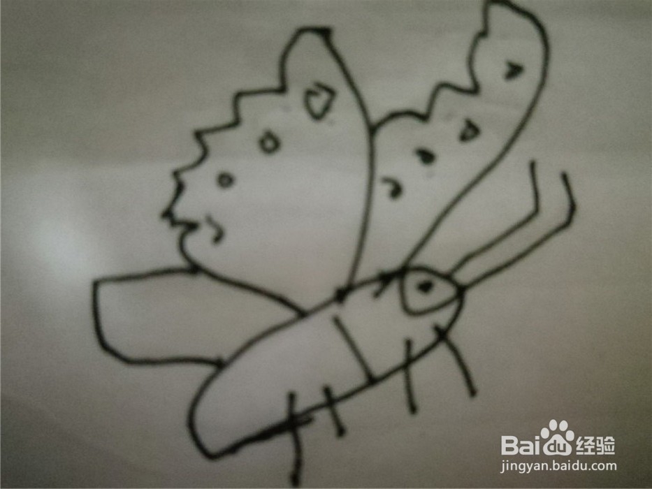 怎么样用简笔画画小的蝴蝶