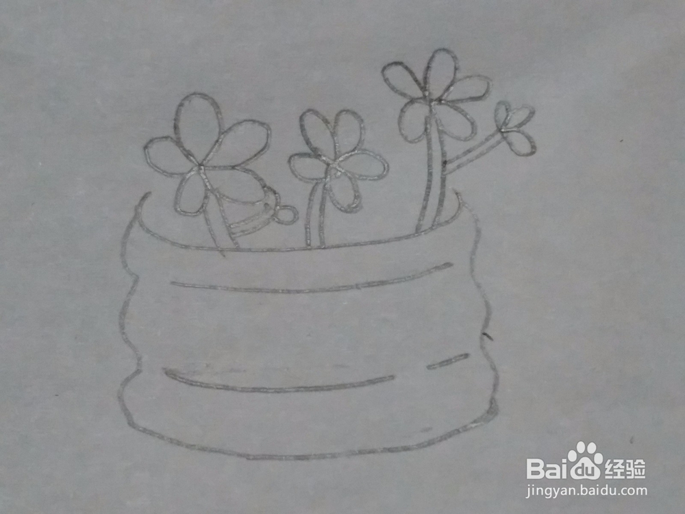 多肉 简笔画 绘画教程2