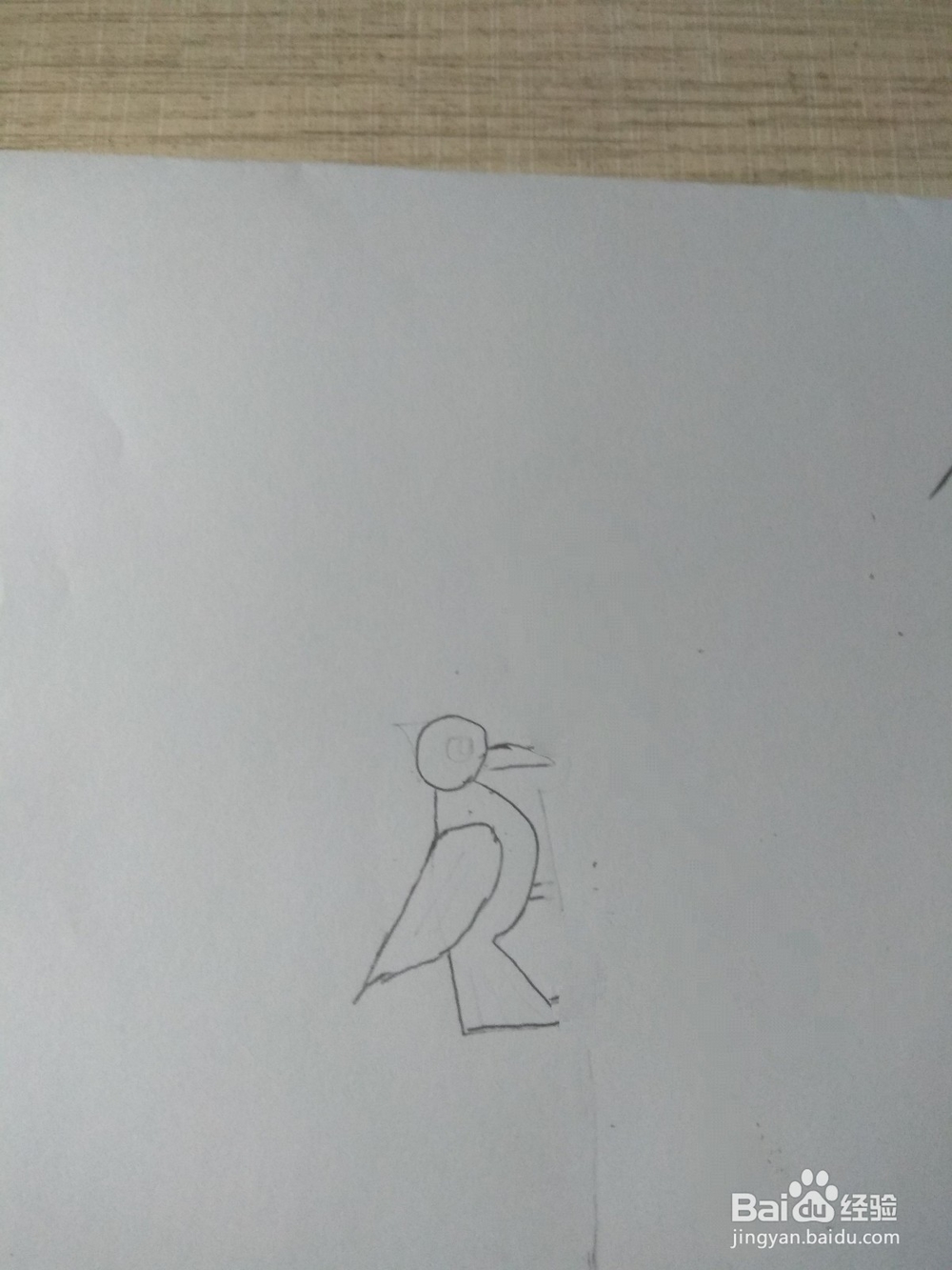 简笔画—画出一个啄木鸟