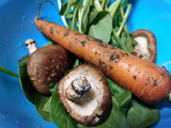 减脂玉米面菜团子