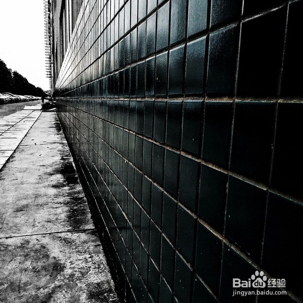 【摄影技巧】初级摄影构图四要素