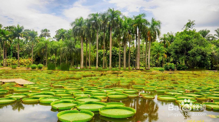 云南旅游全攻略