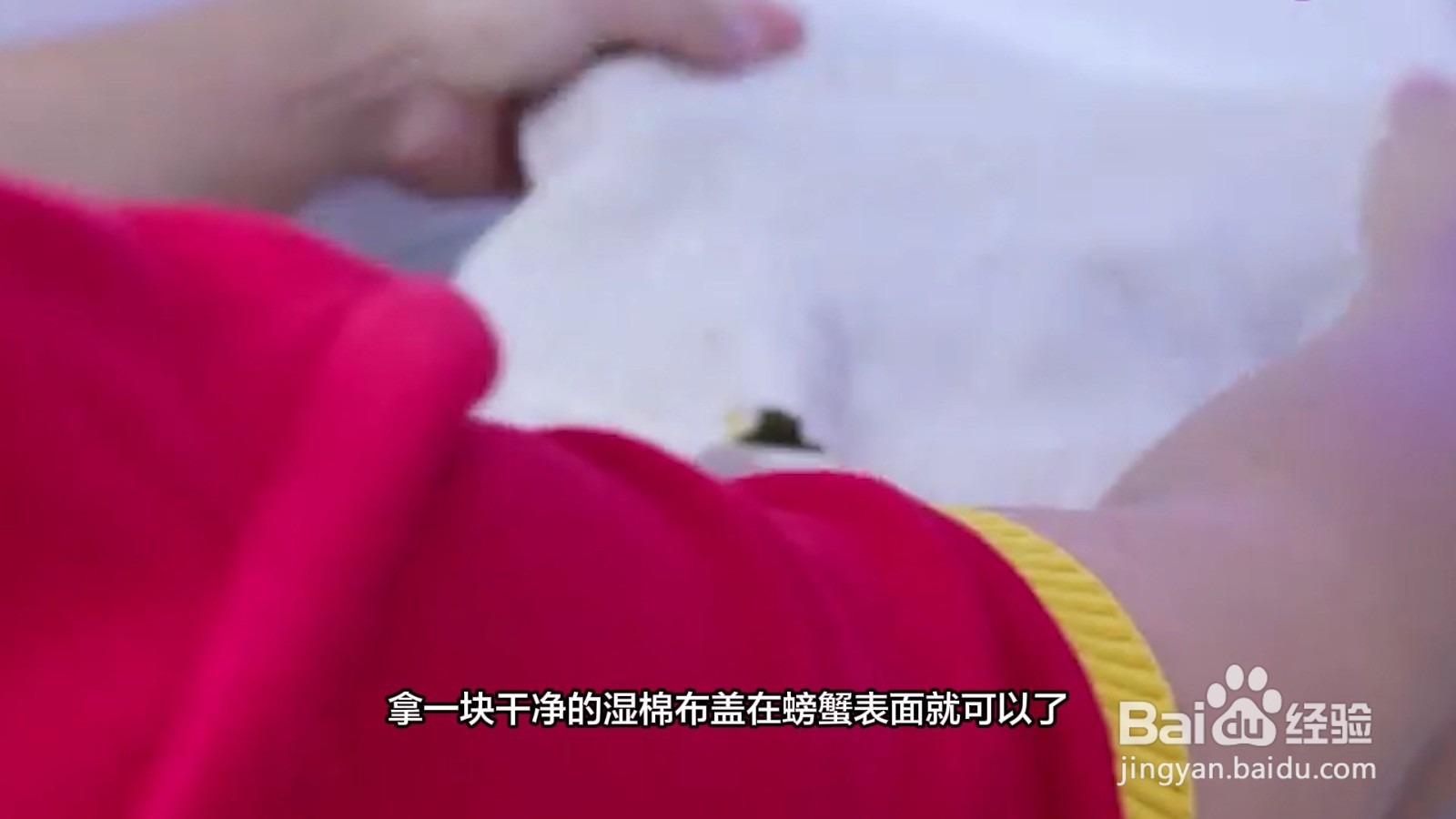 蟹怎么存放保持新鲜