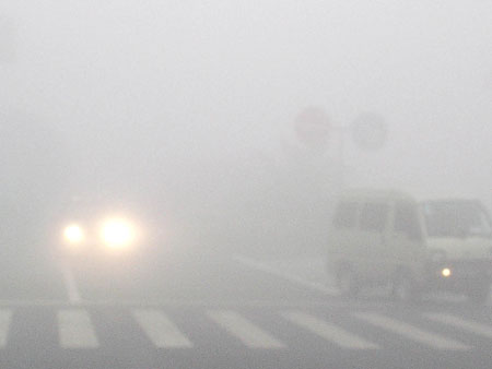 怎么在大雾天气高速公路出行