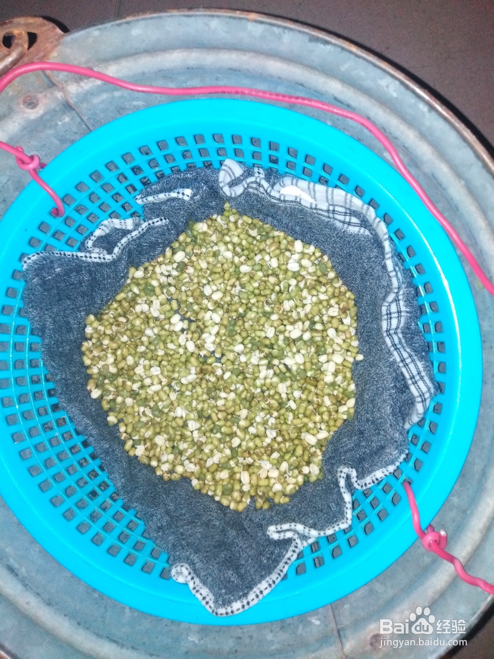 如何才能发好绿豆芽