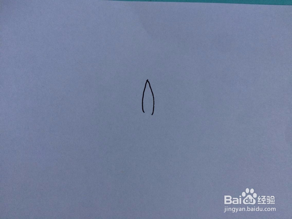 刚发芽的凤仙花的样子怎么画