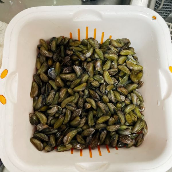 海瓜子炒金不换