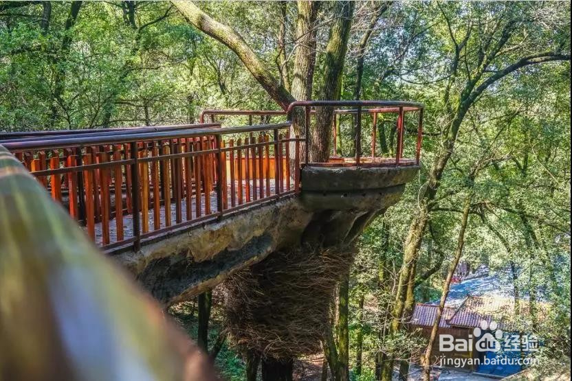 家门口的玻璃桥,长沙石燕湖一日游推荐
