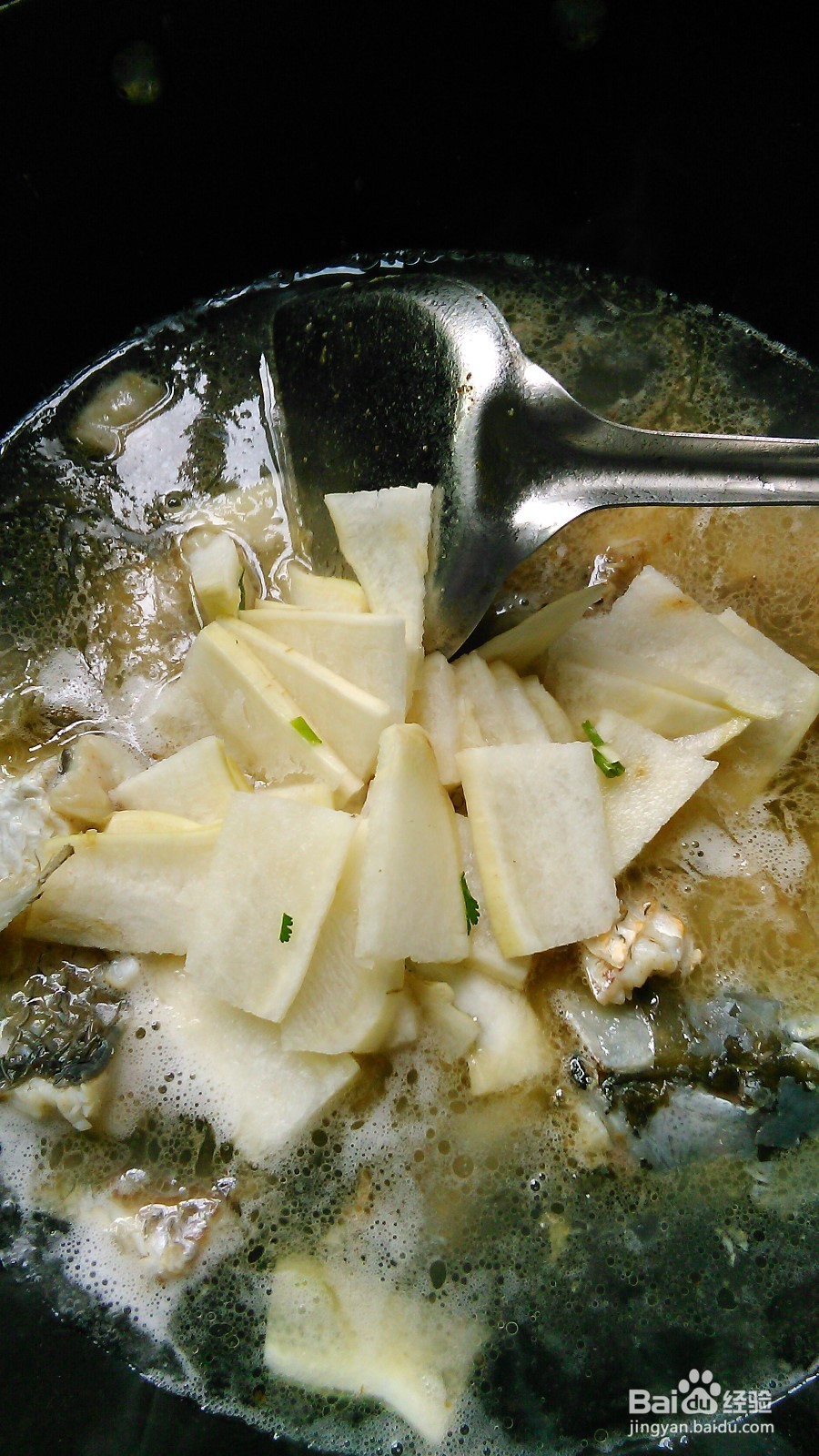 怎样做萝卜煮鱼?