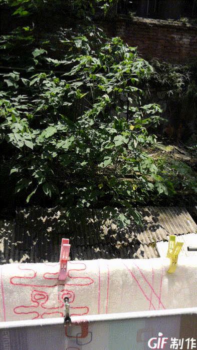 手机如何直接拍摄gif动态图片-百度经验