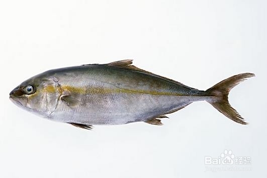 增强记忆力吃些什么食物好