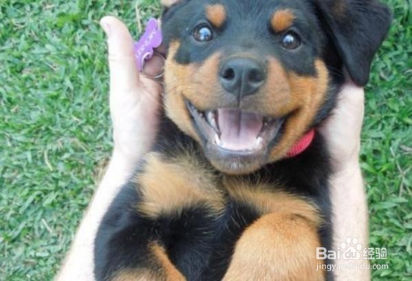 #过年#怎样对付痛经