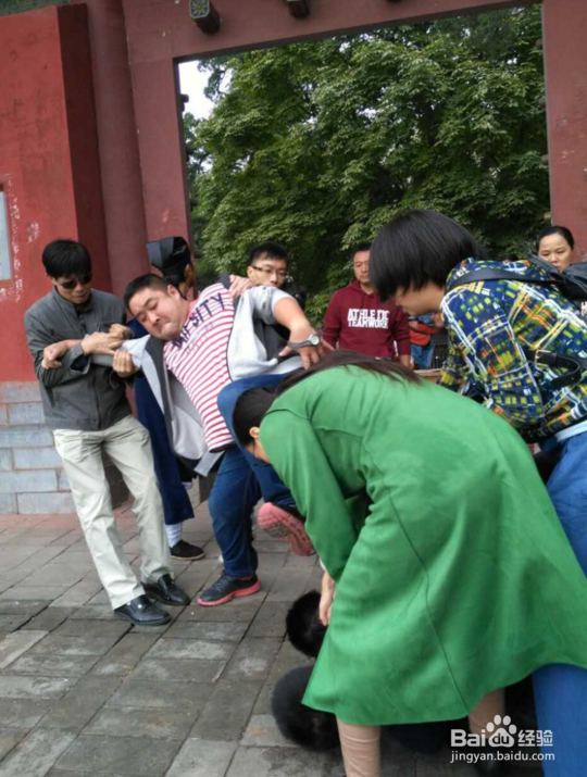 文物,国宝监控又失踪