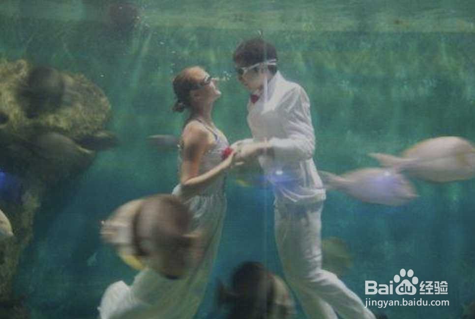 拍水下婚纱照怎么睁眼