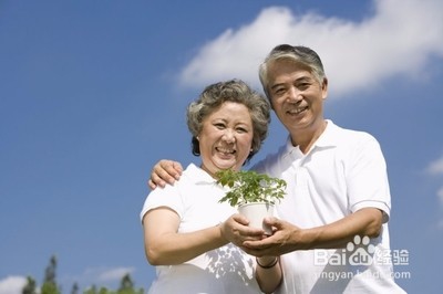 如何协调好婆媳关系?