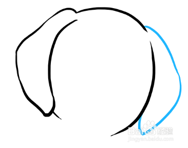 怎么画中华田园犬
