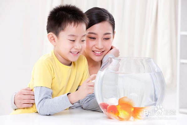引导孩子思考 比给出答案重要