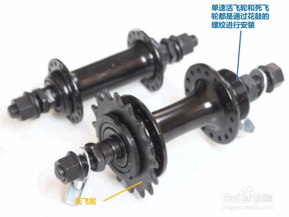 活飞轮、倒刹花鼓、死飞轮的区别