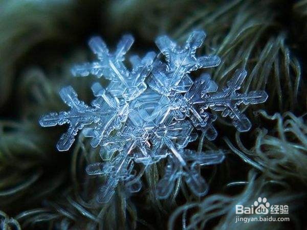 情侣间吵架和解的5个小妙招