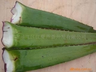 如何除去蚊子咬的包包,止痒