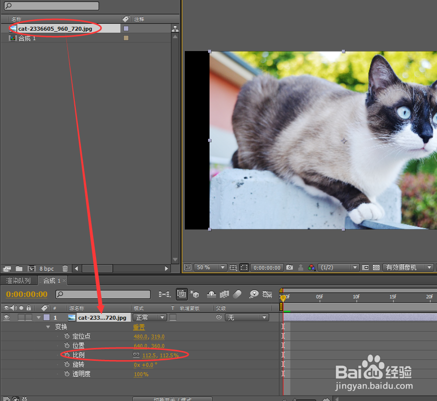 如何使用AE制作漏空蒙版效果