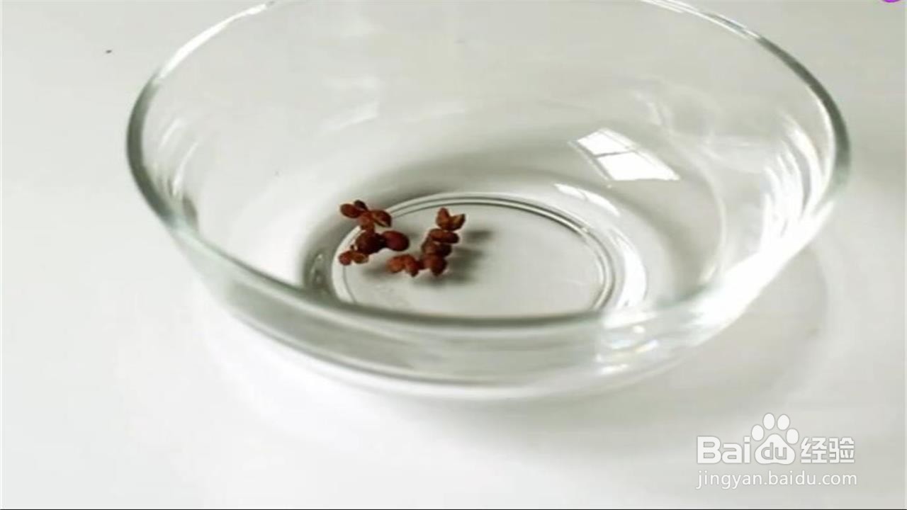怎样快速缓解牙痛