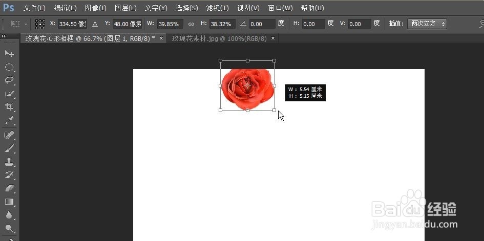 制作玫瑰花心形相框