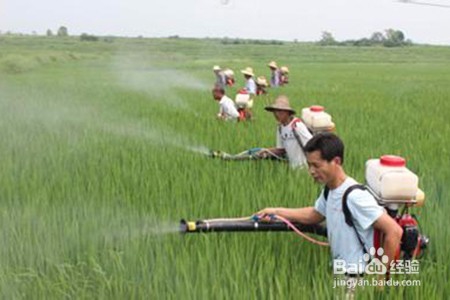 生活中，有哪些物品，我们是不讲价的？